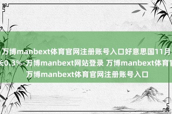 万博manbext体育官网注册账号入口好意思国11月零卖库存环比增长0.3%-万博manbext网站登录 万博manbext体育官网注册账号入口